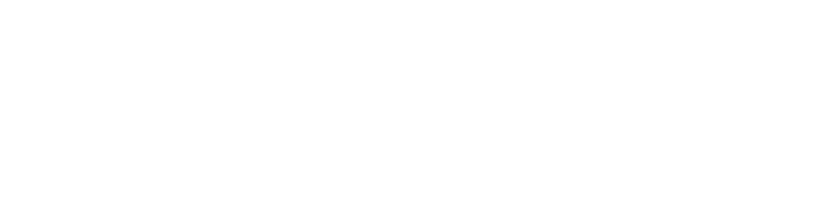 Polimi Logo